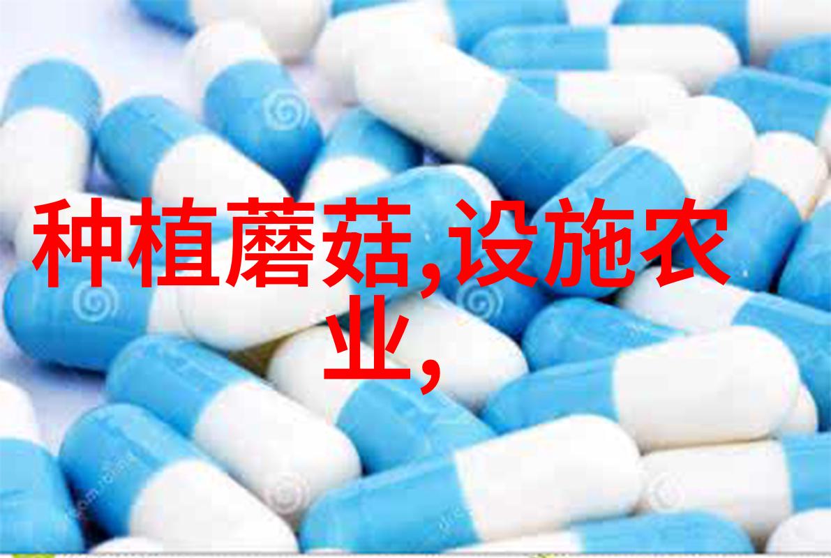 集成灶的隐患与挑战探究其在厨房生活中的局限性