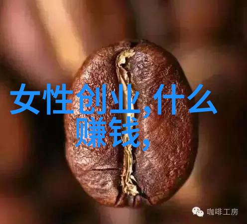 好家装修公司我的梦之家大改造