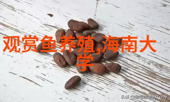 十年的冰箱坏了建议维修吗我这台老冰箱真的要报废了怎么办