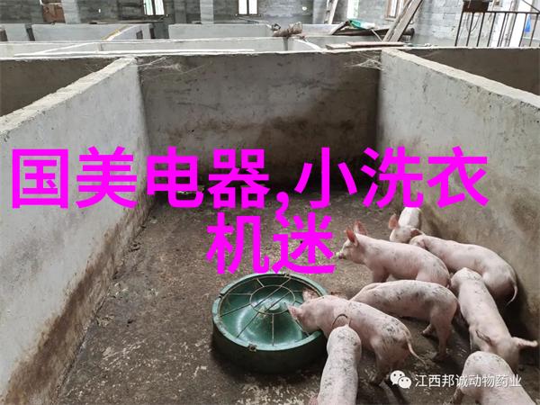 冰箱与厨房烹饪器具推荐提升家居用餐体验的双重策略