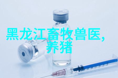 厨房必备百宝箱揭秘100款不可或缺的厨具小物