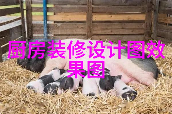 汽车部件大集合从轮子到喷气头车的肺和腿都在这里