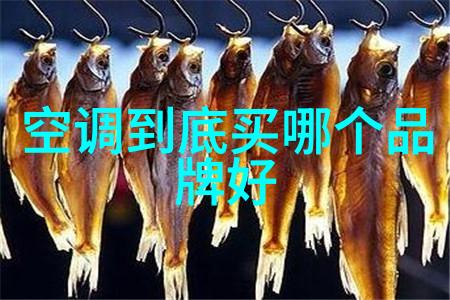 工业用洗衣机我的劳动伙伴