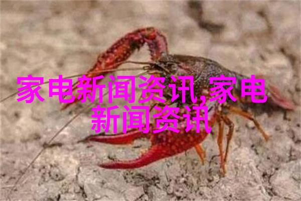 客厅顶部装修效果图片