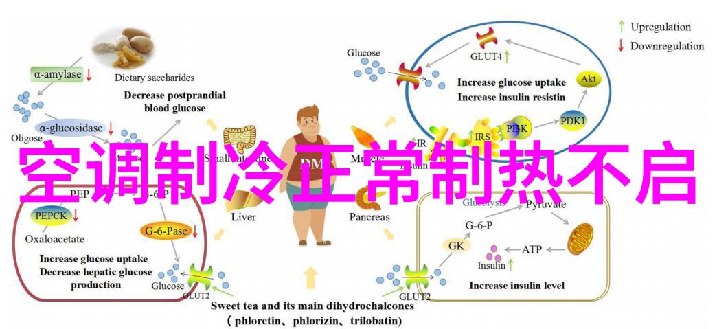 夏日清凉空调安装技巧与冰箱运营的完美结合