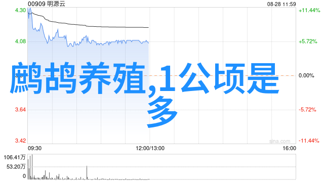 服装新品发布会我眼中的时尚盛宴穿越未来一场惊喜的衣物盛宴