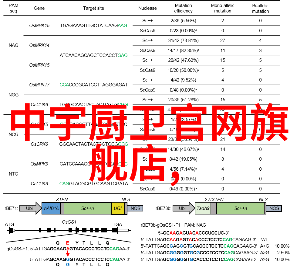 20镀锌管6米多少钱一根市场价格探究