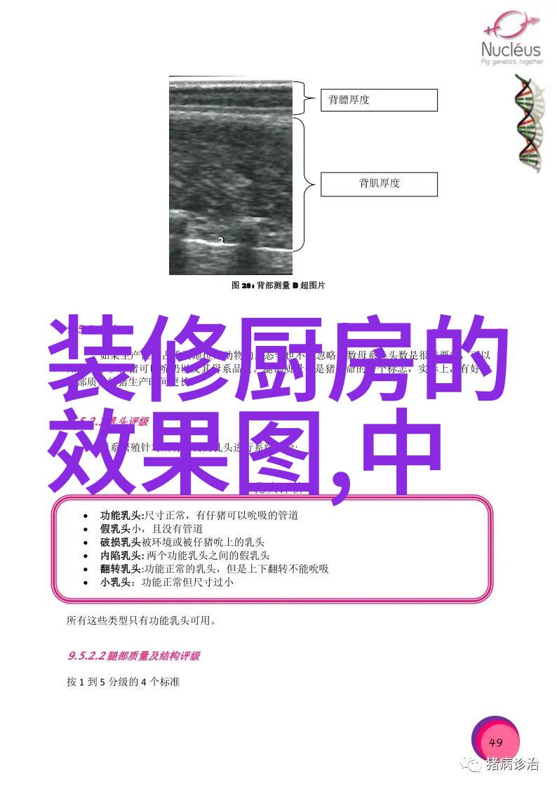 黄到让你那里滴水的作文门卫-金字塔之谜一位忠诚门卫的故事