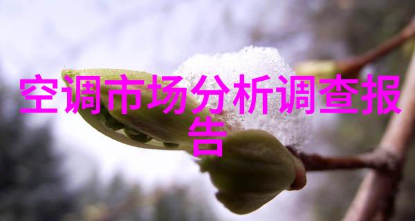 臭氧发生器在水处理中的应用实例