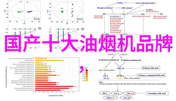 中国最后一只僵尸末日孤影的守护者