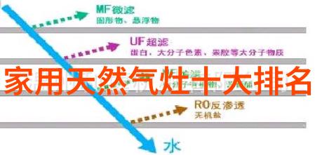 叫声的力量揭秘为什么越叫顶就越显猛烈