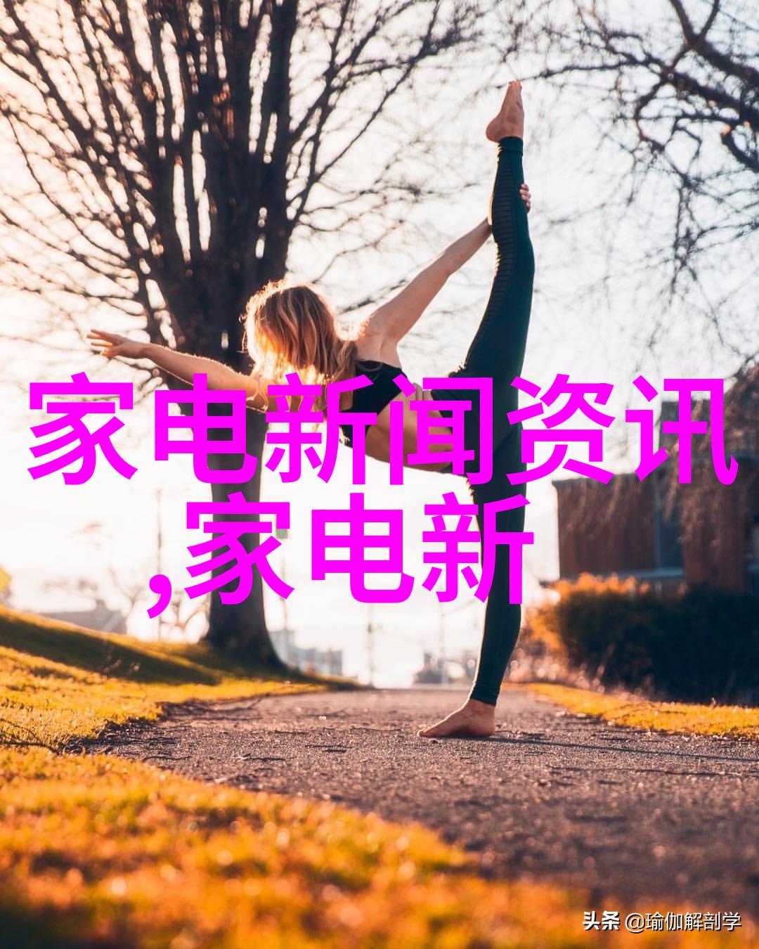 主题-逆袭之恋女的越疼男的越往里寨的奇幻冒险