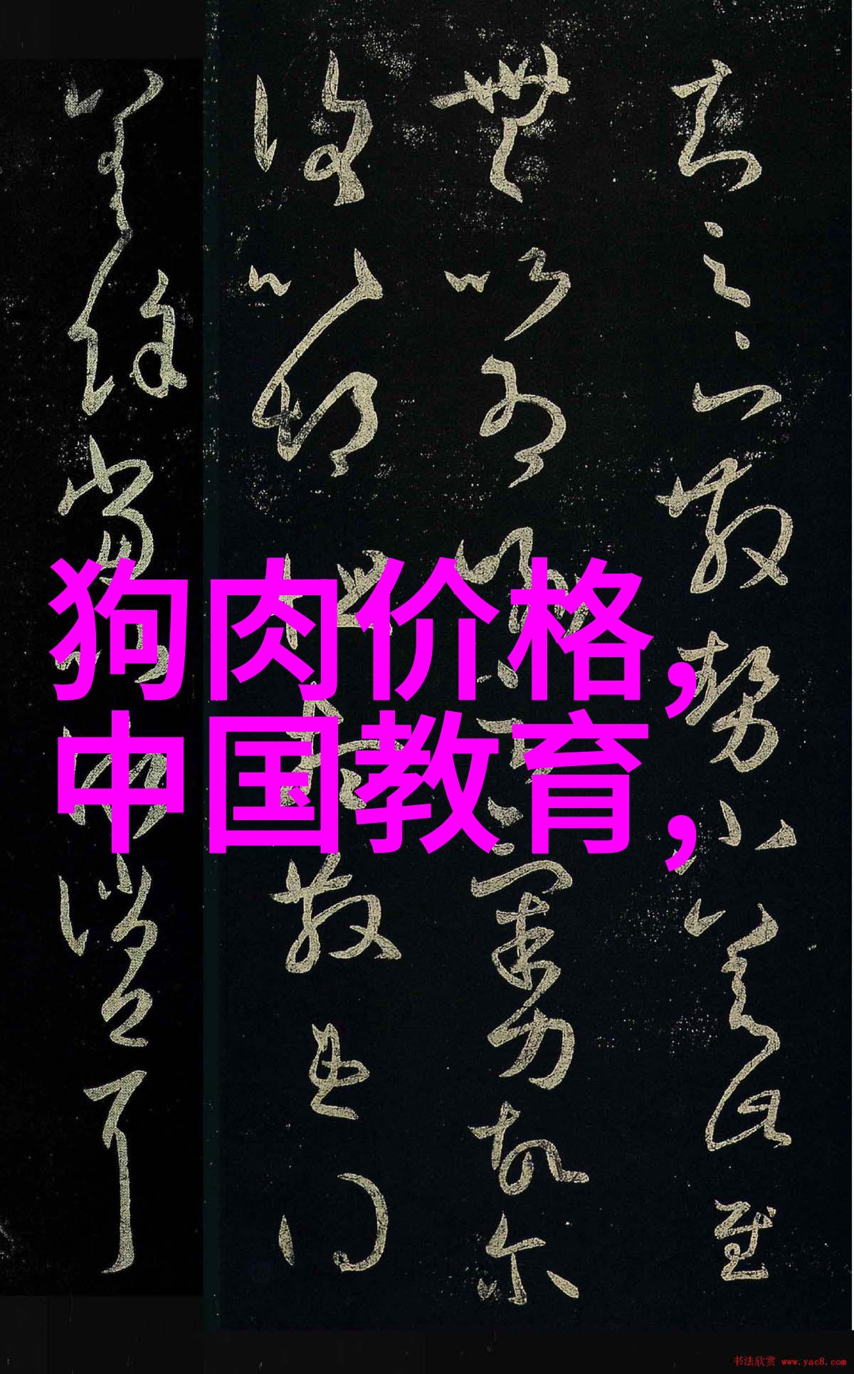 机甲之城揭秘上海最神秘的机器人企业