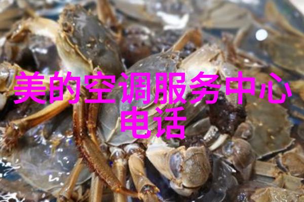 在服装设计中使用丙纶作为防水材料有什么特点和挑战