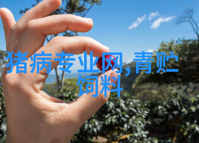 创意空间探索样板房设计装修的艺术与科技融合