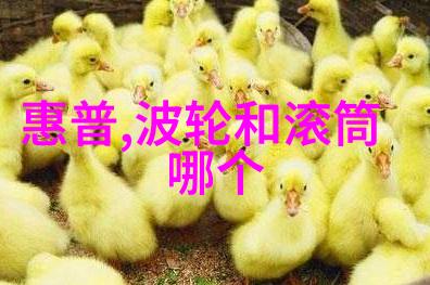 孩子们在自己的房间里应该放置什么样的家具和玩具