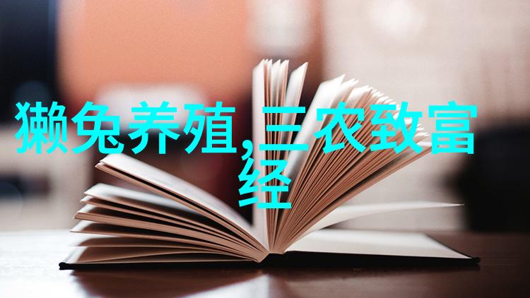 专业别墅设计装修我家别墅的梦想空间从哪里来