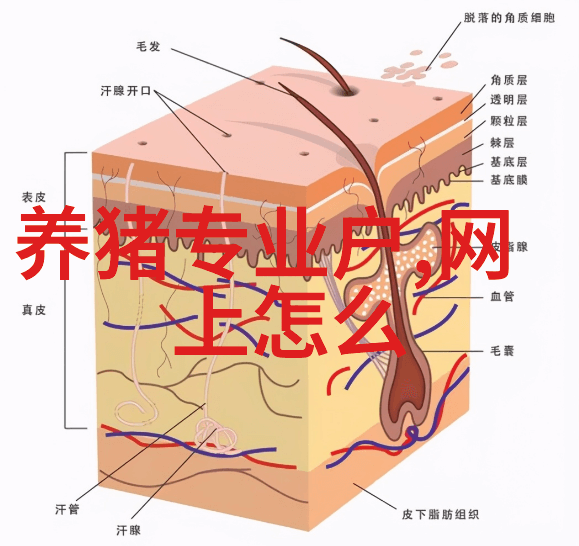 家用萃取机的便捷与魅力轻松品尝咖啡新体验