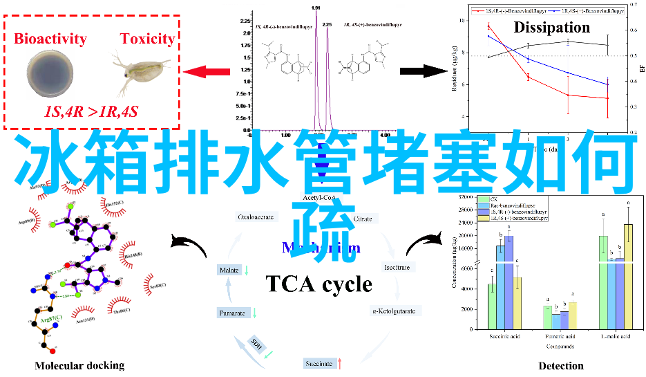 小彩泉我在小彩泉边的故事