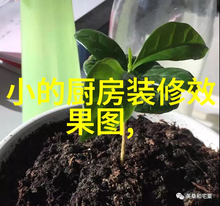 阳台上的秘密厨房一幅未解之谜