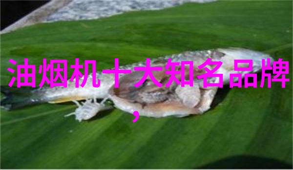 夏日的魔法师夏新传说