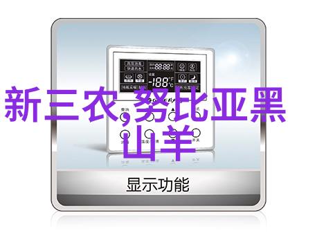 泰州出口式电子地磅价格出口汽车衡厂家电子地磅秤参数 出口式地磅