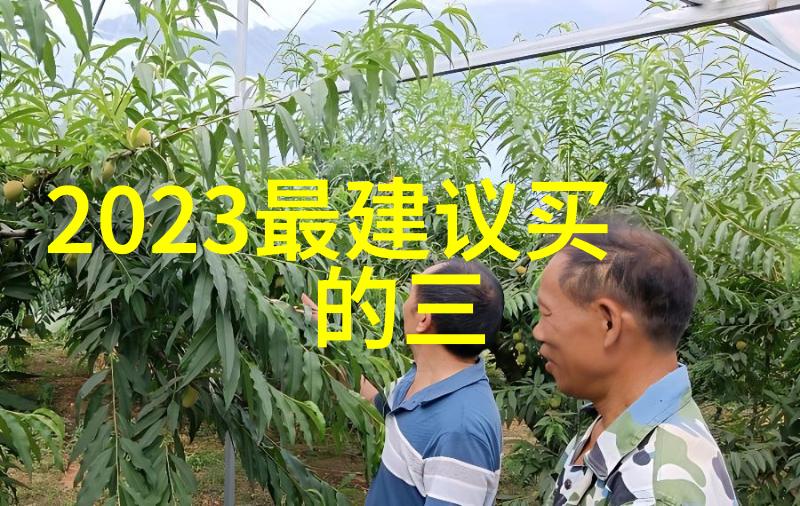 轻奢雅致客厅简约装修效果图解析