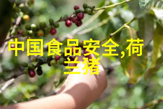 分离器设备代号高效能能量隔离装置