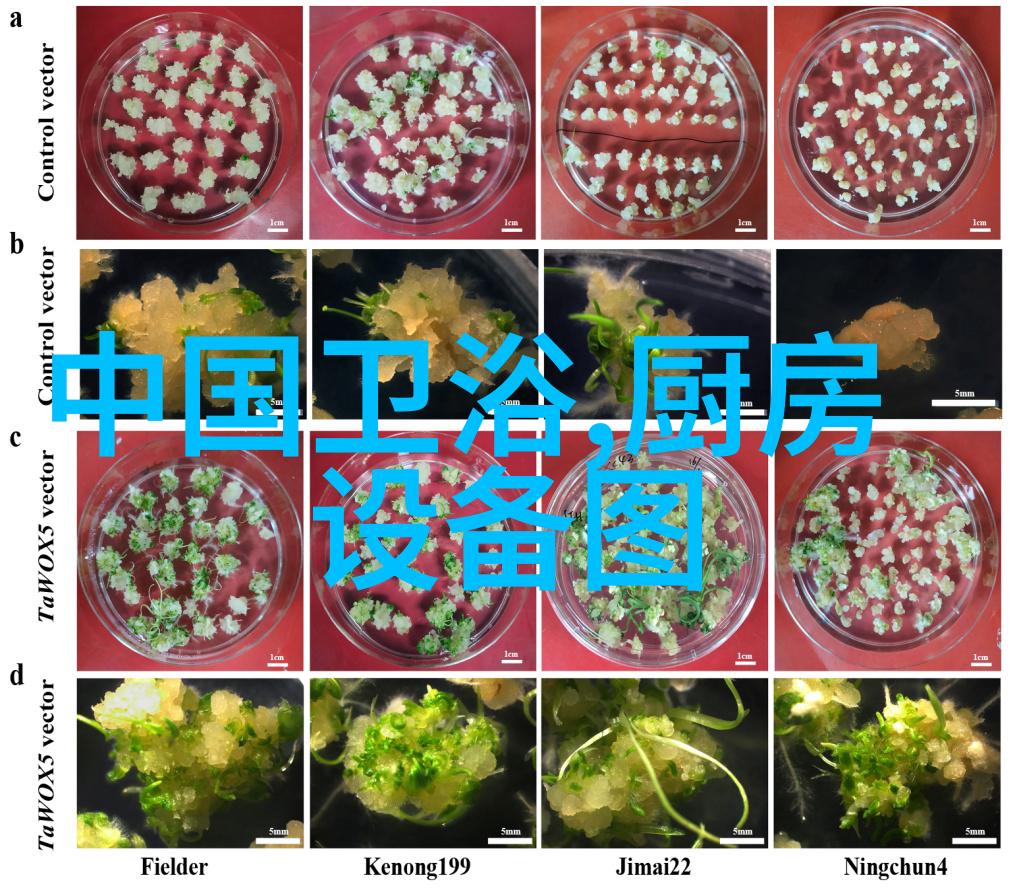 排水管材料种类各种高效耐用的排水管材选择