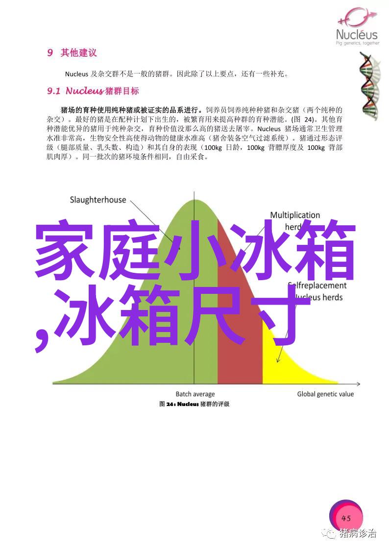 小房子如何装修才显大-巧用空间点亮生活的艺术让小房子焕发出巨大的魅力