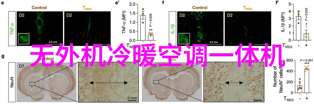 去除烹饪烦恼探索最受欢迎的十大厨房小工具