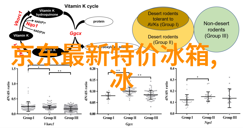 十字门和对开门冰箱优缺点我来告诉你哪种更省空间