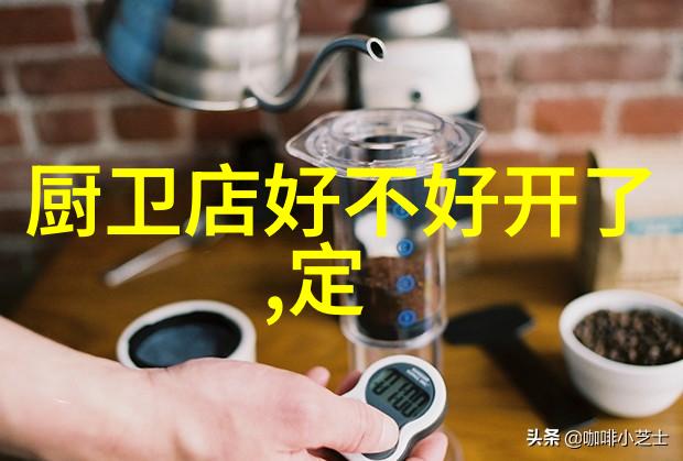 功能性与艺术性的结合开放式厨房在排屋别墅中的实用化策略