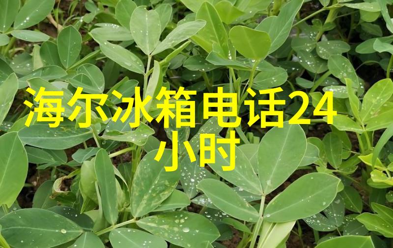 空调遥控器手机版触控夏绘新篇章