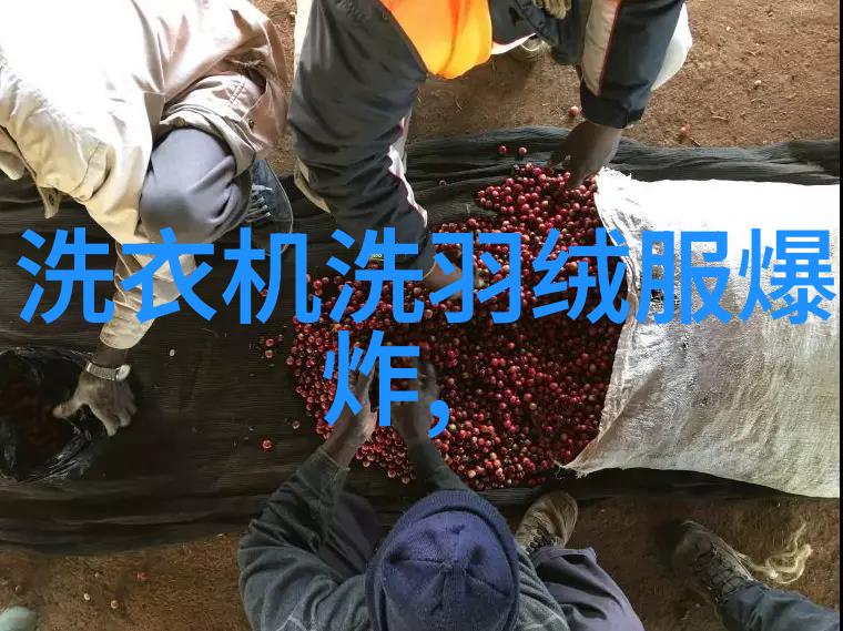 全球财经大学排名榜揭秘最佳金融教育机构