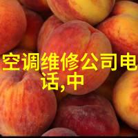 等离子灭菌器无菌领域的新希望