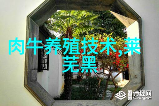 厨房装修一般需要多少钱我来告诉你这些建议