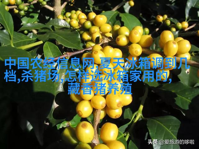 厨房整体融合