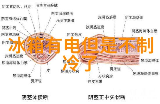 天生废柴一个不经意的自我发现之旅