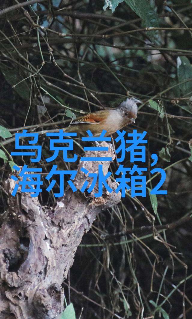 智能革命机器人时代的到来与我们