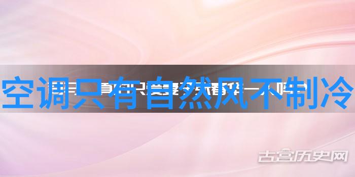 镜头捕捉瞬间永恒数字相机的艺术与科技