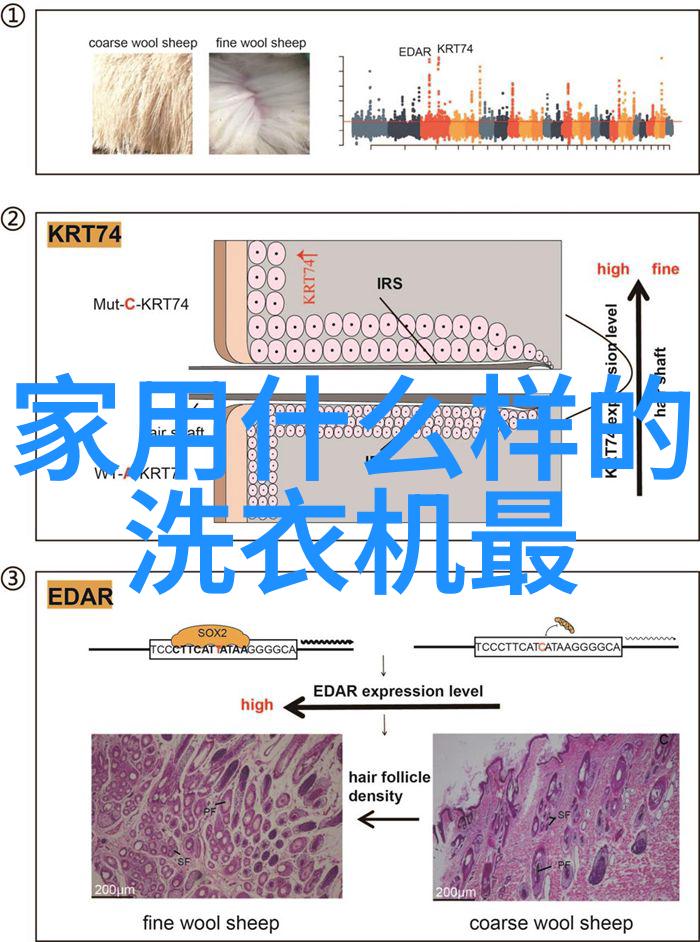 火焰中的谜团消防设备背后的秘密