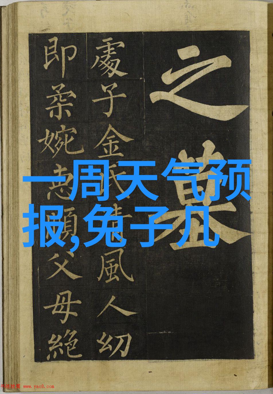 写申请报告我是怎么写出令人满意的申请报告的