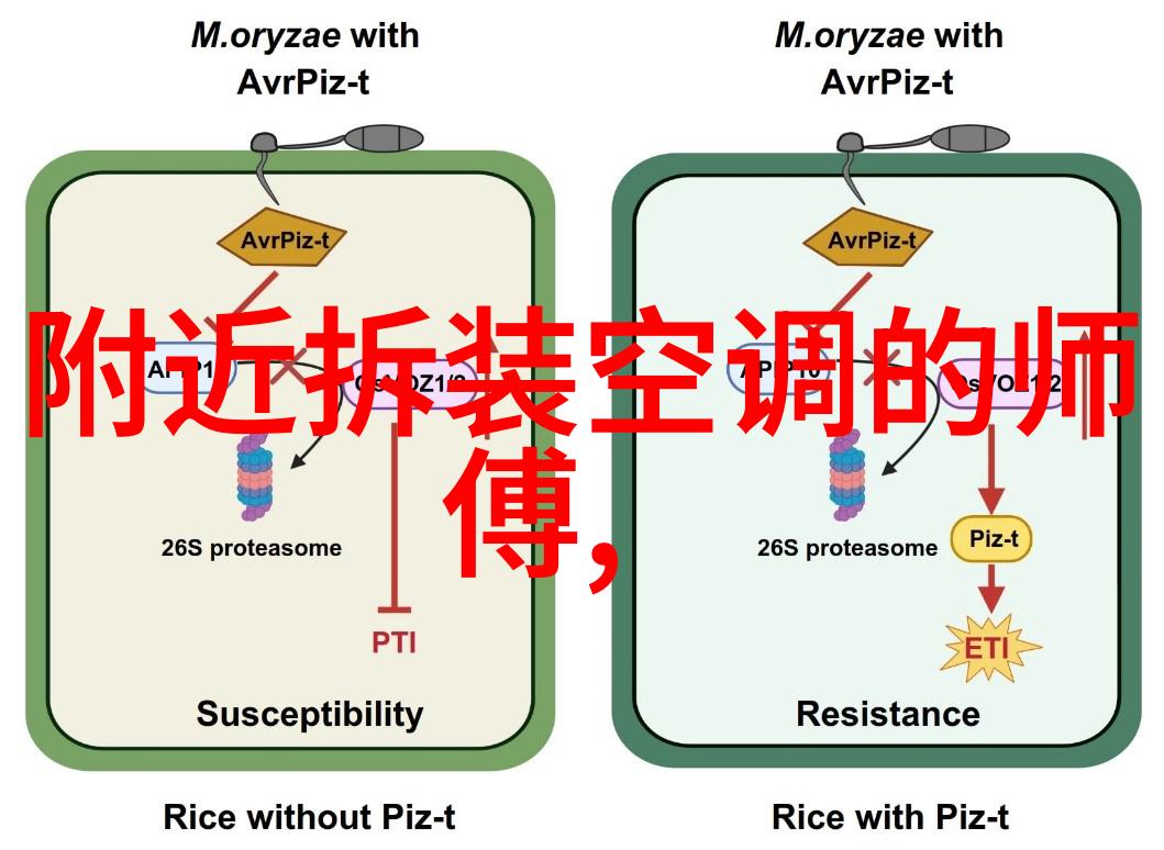 微波炉安全操作指南了解如何正确使用微波炉