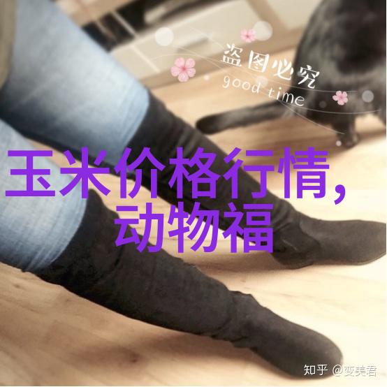 女生说越痛男生越往里寒解读一种爱的隐秘篇章