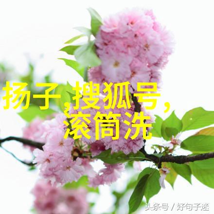 夏日调频寻觅心灵的无线电波