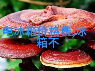 康佳洗衣机的秘密生活从不见过的洗衣秀场到无声的家居舞蹈