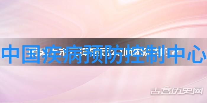 净化空气的智慧油烟机的无声守护者