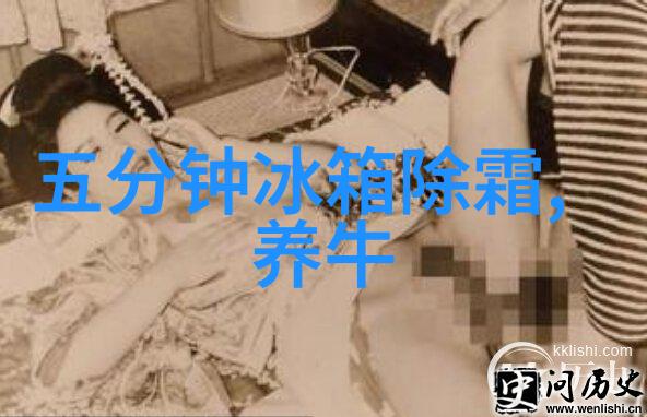 电冰箱温度调节指南如何正确设置冷藏和冷冻区的温度