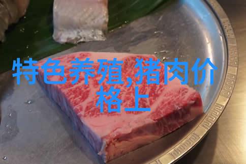 厨房必备厨具高效用餐设备